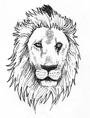 302x392 82 Famous Lion Tattoo Design Amp Sketches