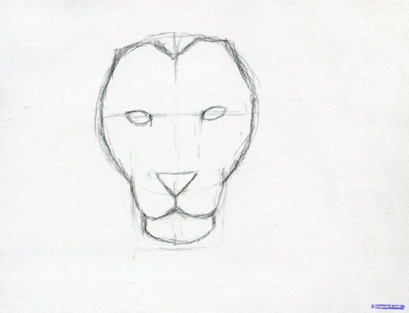 805x617 Coloring How To Draw A Lion Face Step By Step Pencil