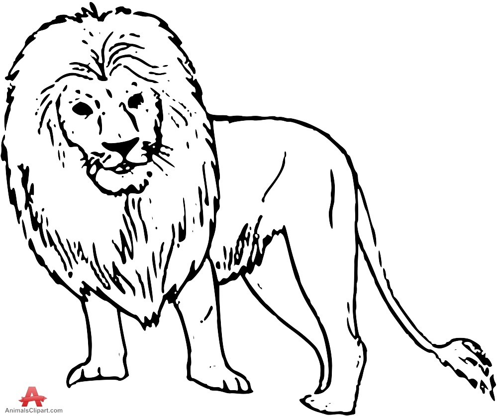 999x837 Lion Outline Drawing Lion Face Outline Drawing
