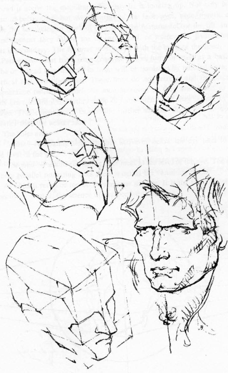 736x1205 Perspective Drawing Of Face Best Human Head Ideas