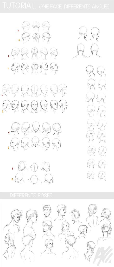 Face Perspective Drawing at GetDrawings | Free download