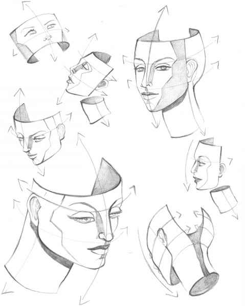 479x596 The Mouth Analysis And Structure