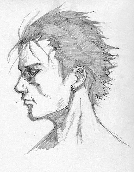 450x577 Pix For Gt Profile Face Drawing Drawing The Head And Face