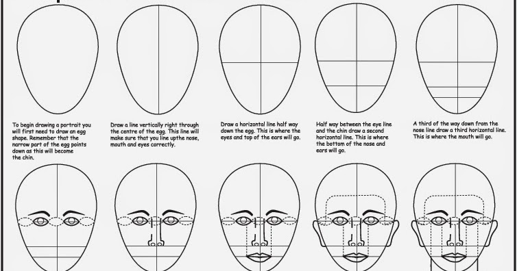 Face Proportion Drawing at GetDrawings | Free download