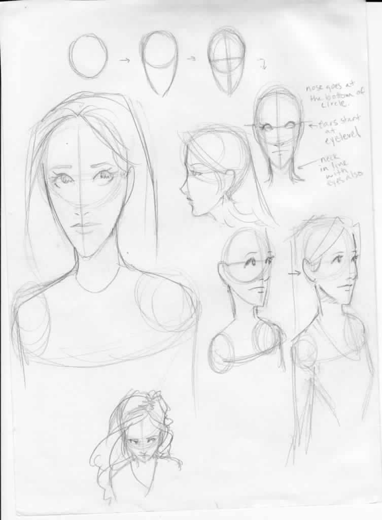 Face Reference Drawing at GetDrawings | Free download