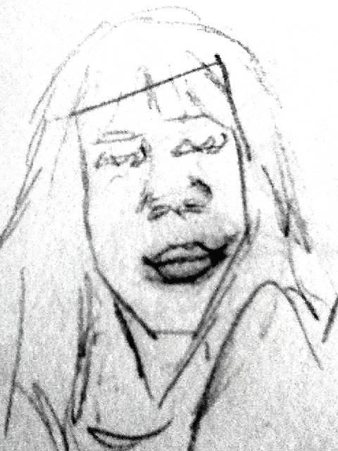 480x640 Mary Elizabeth Winstead 100 % Analyzation Drawings Face Shapes 101