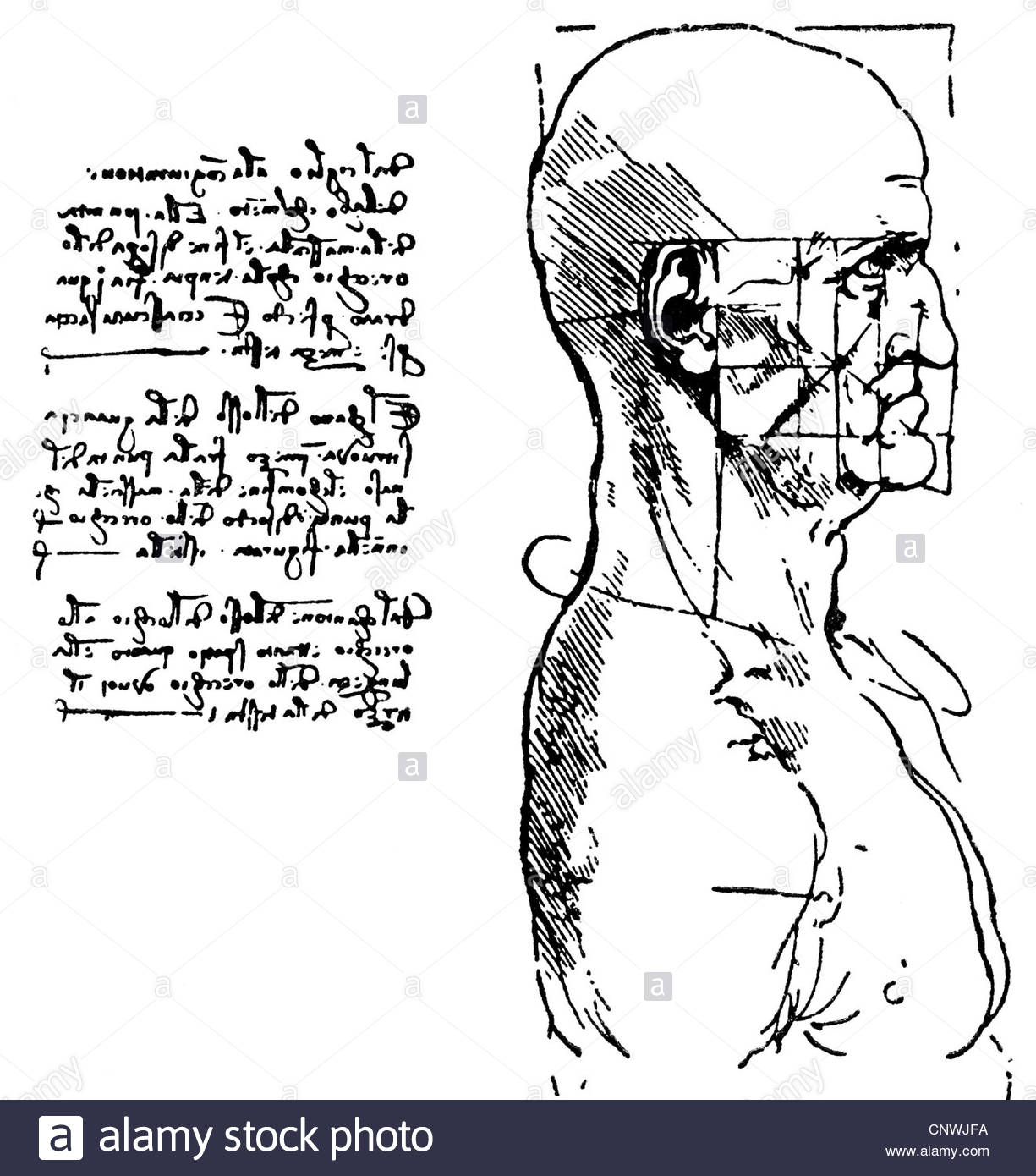 1225x1390 Fine Arts, Leonardo Da Vinci (1452