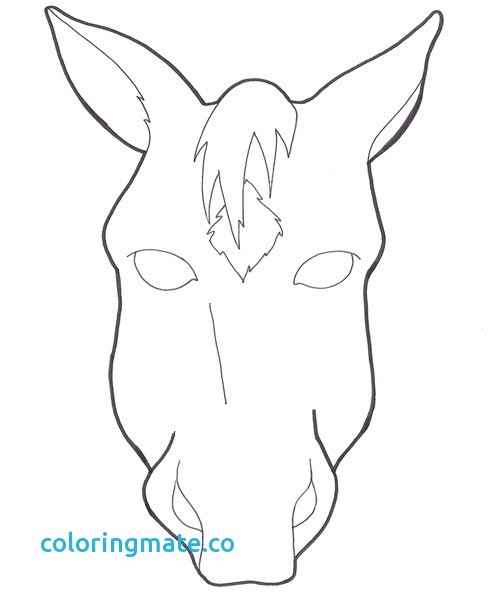 500x600 List Of Synonyms And Antonyms Of The Word Horse Face Template