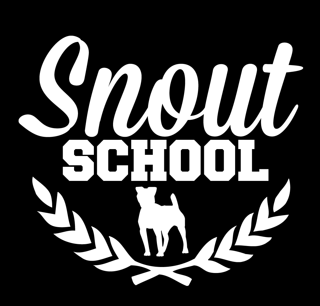 1067x1020 Veterinary Hospitals Vs. Facebook Reach How You Can Win