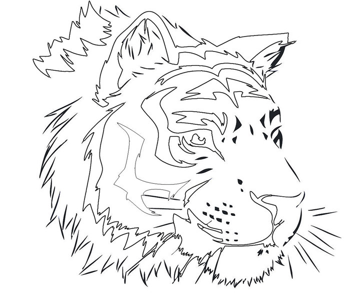 700x591 Tiger Shape Templates, Crafts Amp Colouring Pages Free