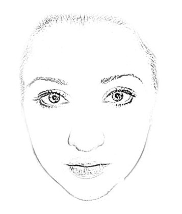 357x419 Makeup Face Charts