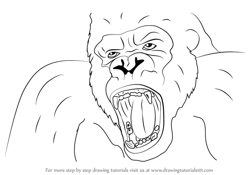 800x566 Learn How To Draw King Kong Face (King Kong) Step By Step