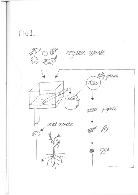 468x662 Fly Factory Breeds Insects For Human Consumption