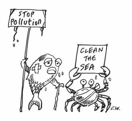 450x413 Thoughts On The Nutritional And Environmental Potential Of Marine