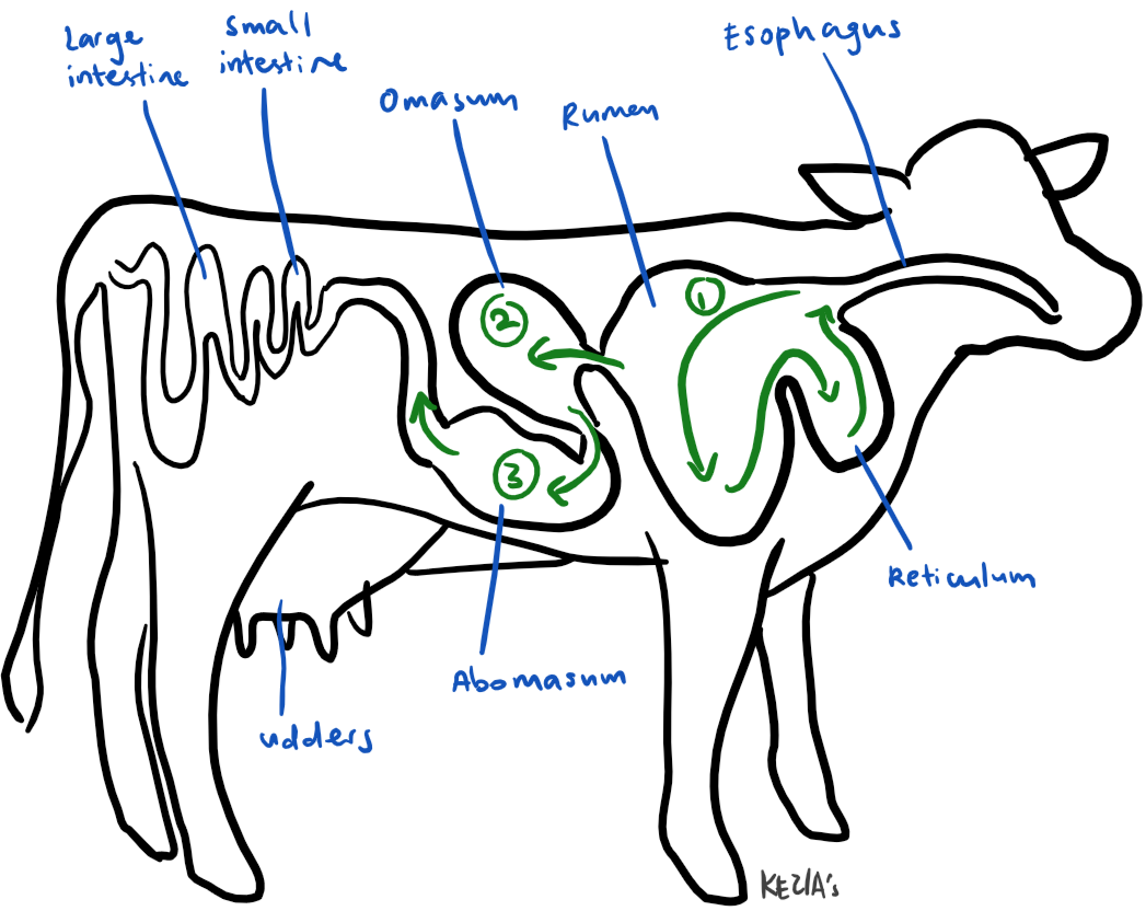 1047x832 Air Pollution Flatulence