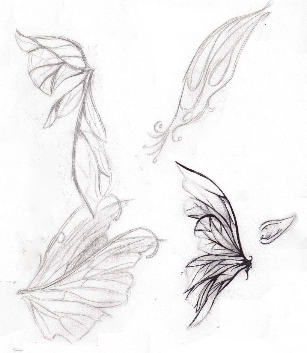 1024x1180 Fairy Wings Drawings