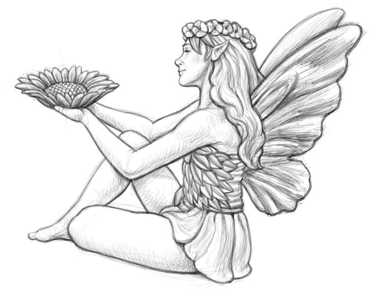 Search for Fairy drawing at GetDrawings.com