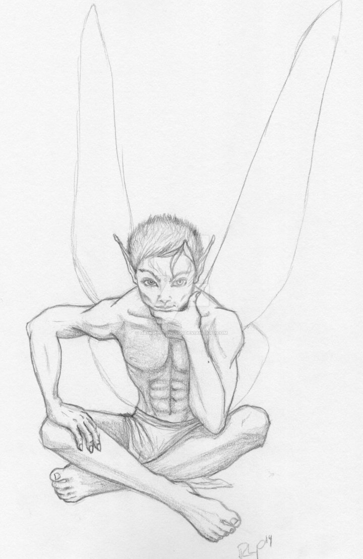 720x1108 Fairy Boy Pencil Sketch By Gabrielleswings