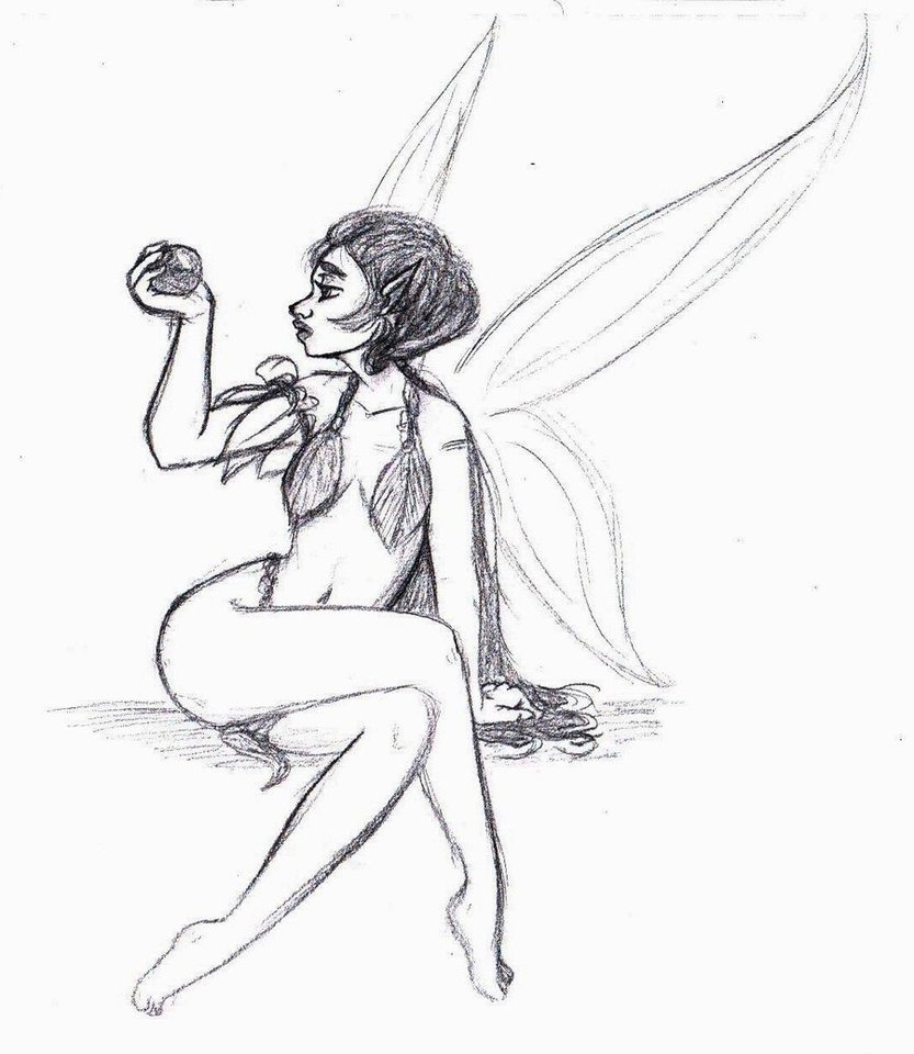 833x960 Fairy Sketch By Siebop