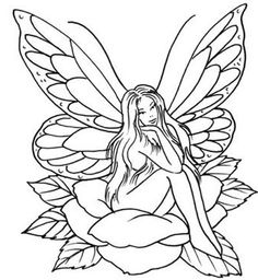236x256 Easy Fairy Sketches