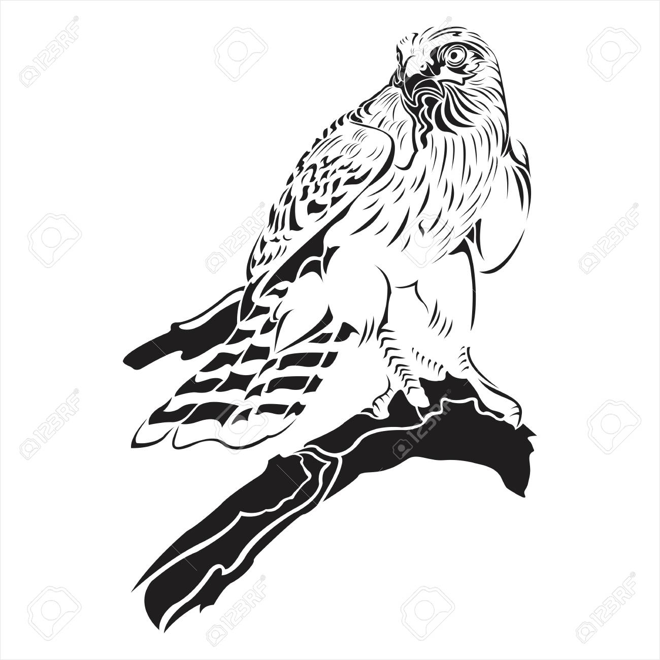 1300x1300 Falcon,eagle,hawk,black,white,tattoo,details,bird,wing Royalty