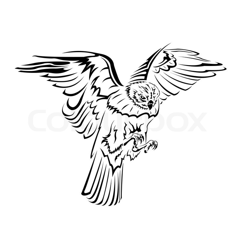 800x800 Falcon Flight Tattoo Black And White Stock Vector Colourbox