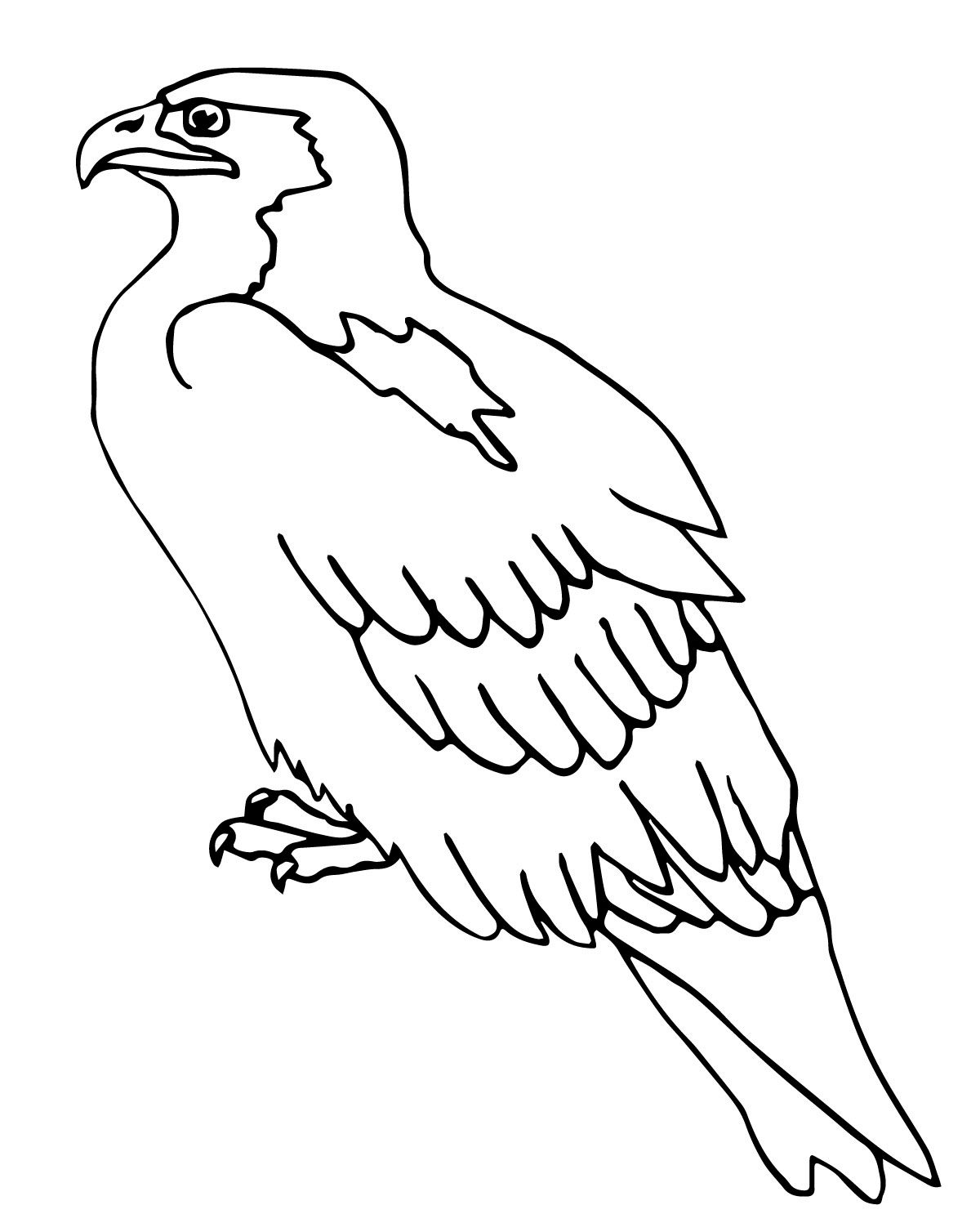 1200x1497 Bird Coloring Pages Perched Falcon Preschool Crafts