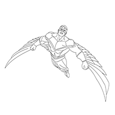 Falcon Drawing