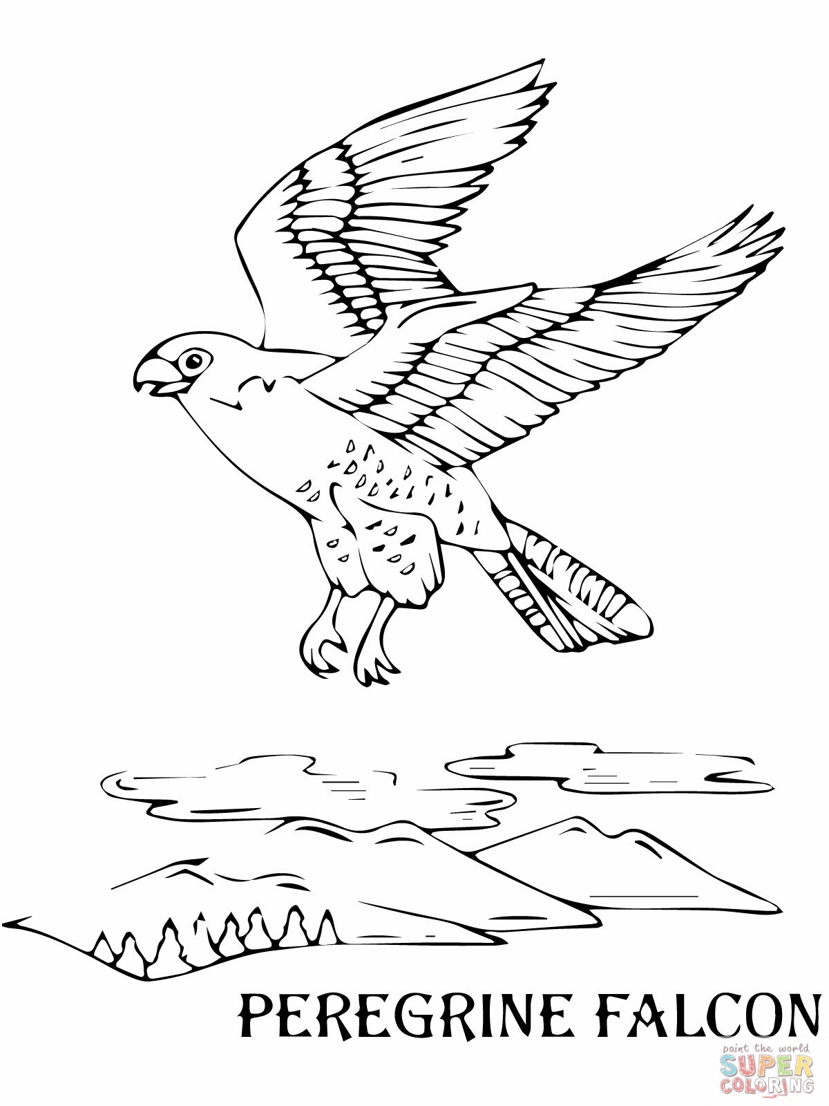1200x1600 Falcon Animal Coloring Pages Free Draw To Color