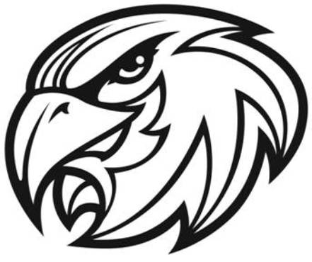 441x370 Falcon Cartoon Drawings Related Keywords Amp Suggestions