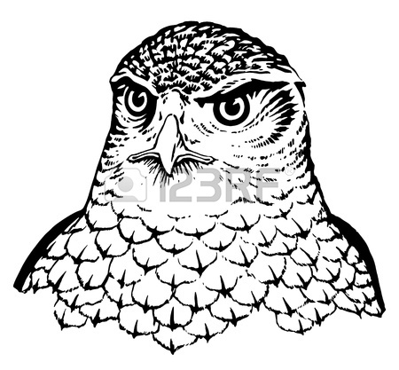 450x417 Falcon Royalty Free Cliparts, Vectors, And Stock Illustration