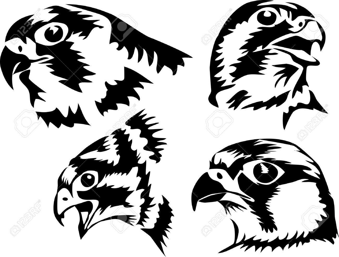 1300x985 Head Of The Falcon Royalty Free Cliparts, Vectors, And Stock
