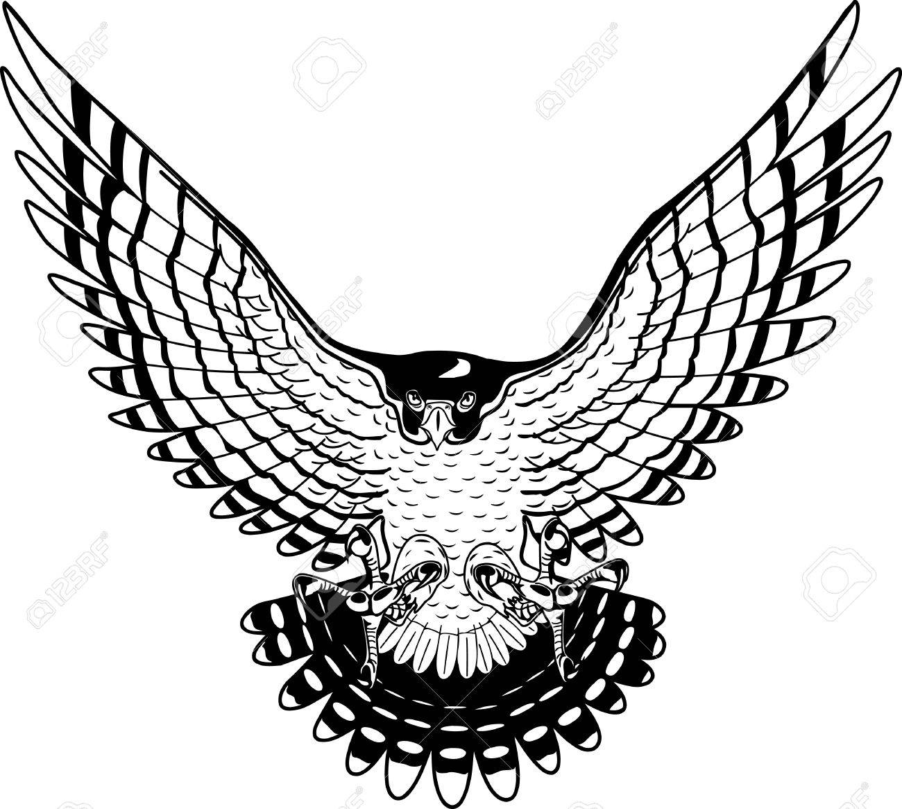 1300x1165 Peregrine Falcon Illustration. Royalty Free Cliparts, Vectors,