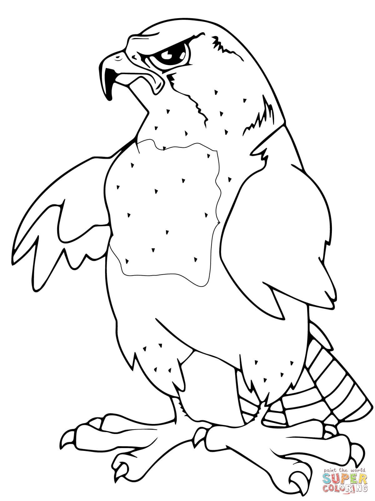 1200x1600 Falcon Animal Coloring Pages Free Draw To Color