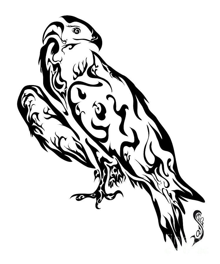 Falcon Line Drawing at GetDrawings | Free download