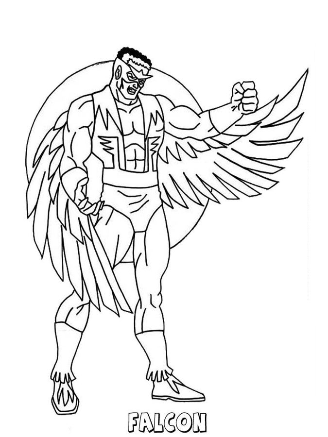 675x900 Coloring Pages Falcon, Printable For Kids Amp Adults, Free