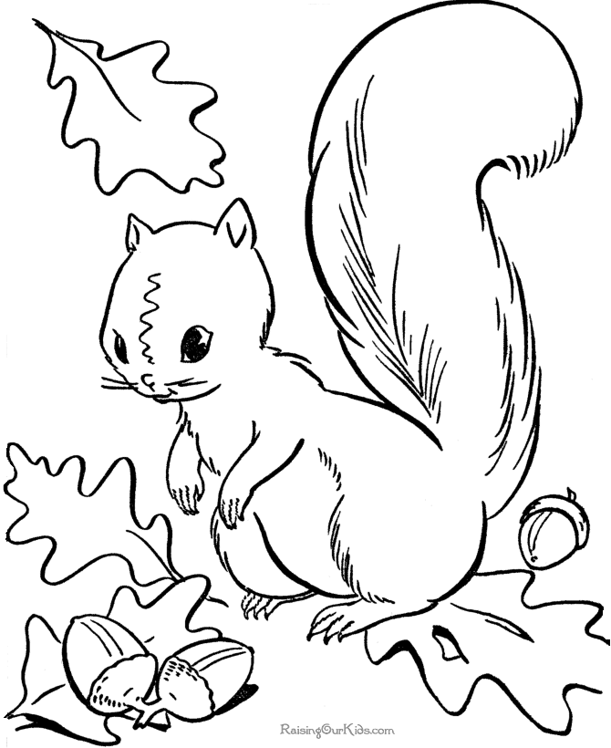 670x820 Fall Coloring Pages To Print