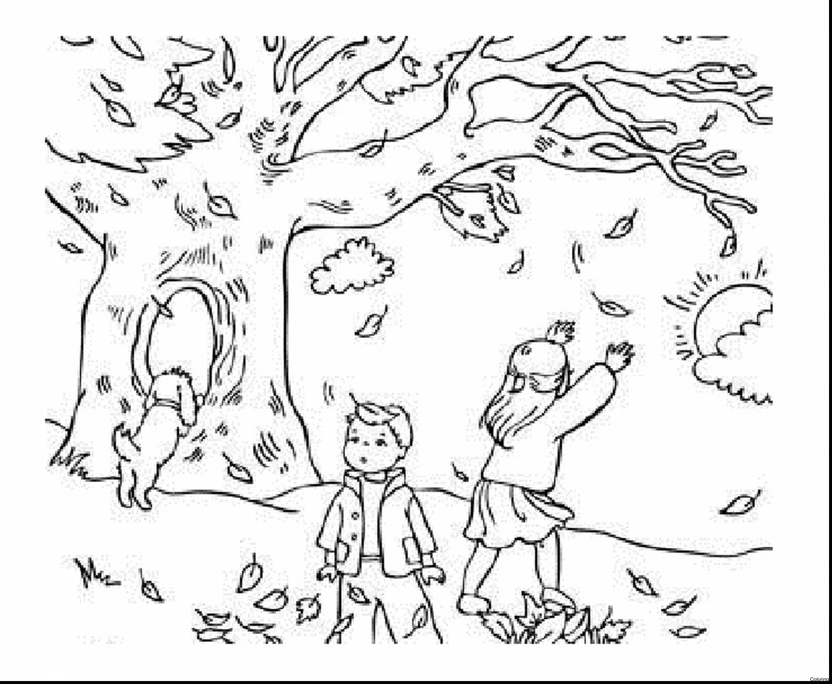 2805x2305 Inspirational Fall Leaves Coloring Pages 98 On Line Drawings