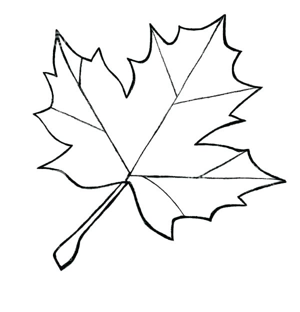 600x624 Leaf Color Pages Printable Leaf Coloring Pages Free Printable