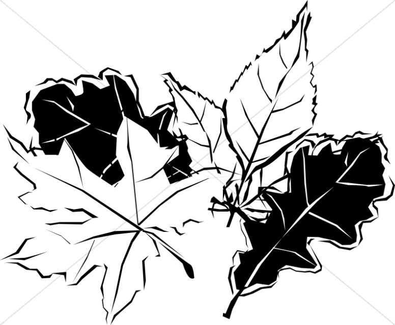 776x639 Black And White Autumn Leaves Nature Clipart