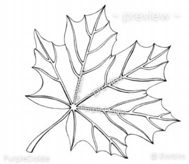 375x325 Drawn Maple Leaf Maple Tree