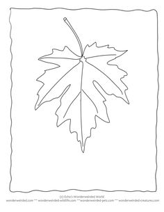 236x305 Free Fall Leaf Coloring Pages For Family Road Trips Fall Leaves
