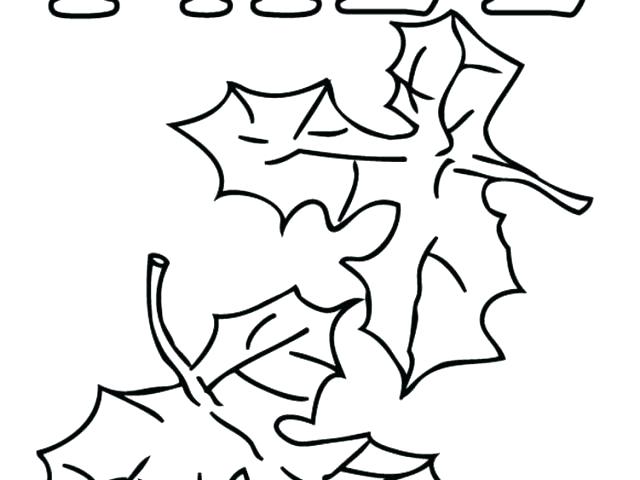 640x480 Leaf Coloring Fall Maple Leaf Coloring Page Palm Leaf Coloring