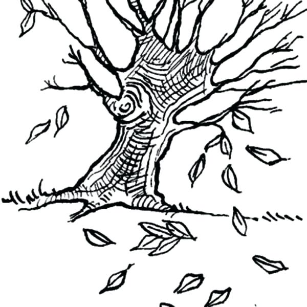 600x600 Fall Leaf Coloring Page Synthesis.site