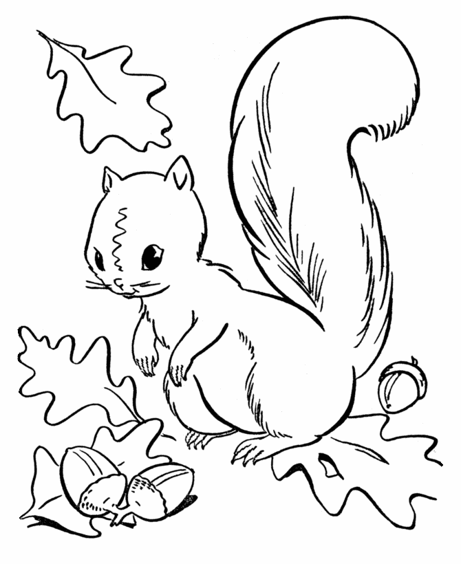 670x820 Fall Season Coloring Page Squirrel Collecting Acorns Arts