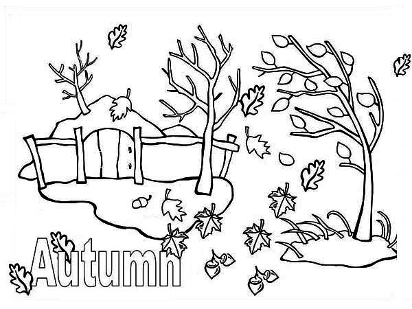 600x450 Autumn Season With Fall Leaf Coloring Page Color Luna