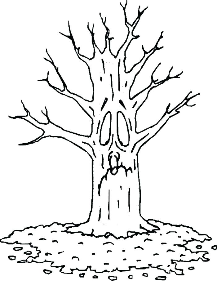 700x906 Fall Tree Coloring Page Coloring Pages Of Trees With Leaves