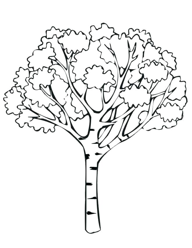 660x853 Small Coloring Pages Fall Coloring Images A Fall Tree With Leaves