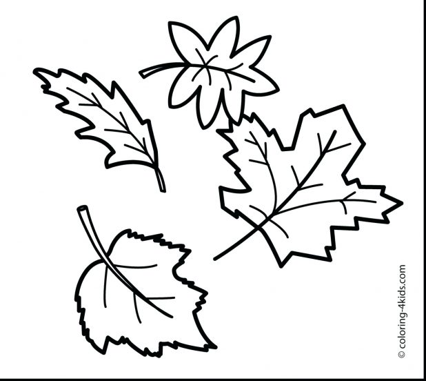 618x552 Tree Drawing 106 Fascinating Printable Leaf Template Pumpkin