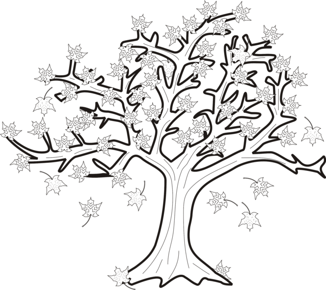 Fall Tree Drawing at GetDrawings | Free download